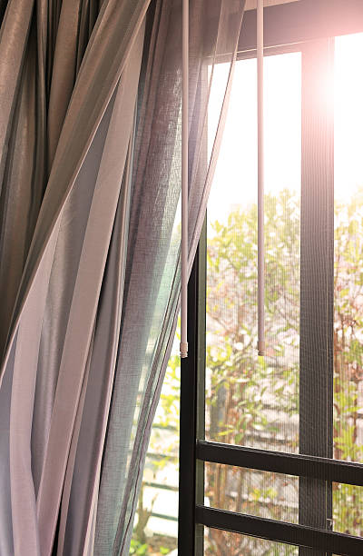 istock Door and Gray curtain living room 630065738