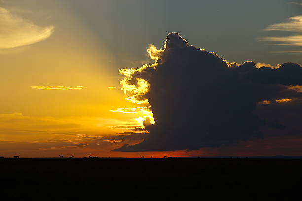 istock Sunset in Maasai Mara, Kenya 630068304