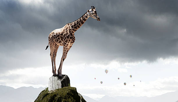 istock Power and leadership concept . Mixed media 630069682