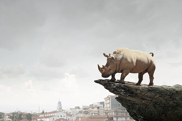 istock Power and leadership concept . Mixed media 630624446