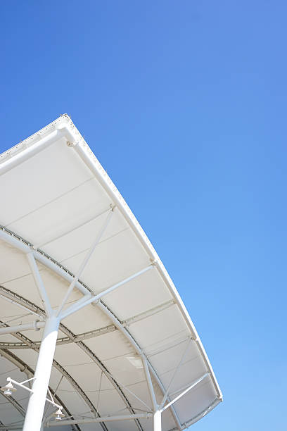 istock Fresh green leaves in the sky 630958988