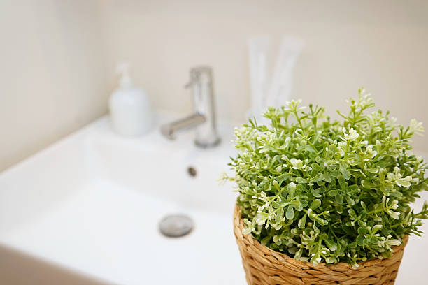 istock Japanese traditional housing room for backpacker's staying 630959650