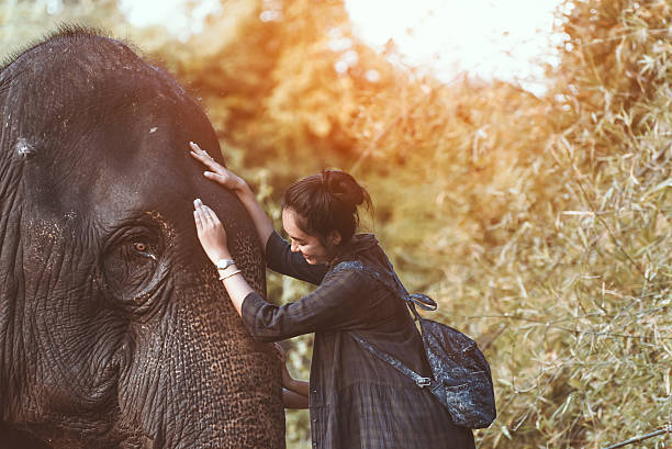 istock The smiling girl embraces an elephant 631182004