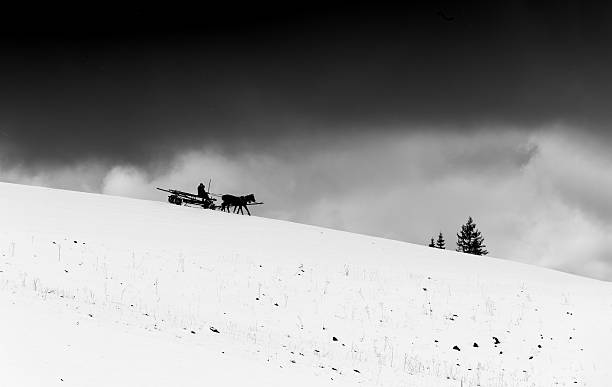 istock rustic cart on snowy hill 631182708