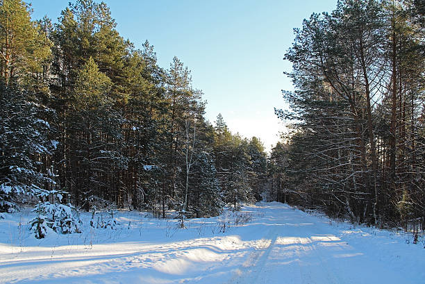 istock Winter landscape. Road in winter forest on a sunny day. 631185256