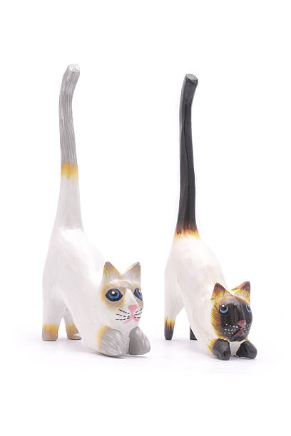 istock Stand for rings Siamese cat isolated on white 631662812