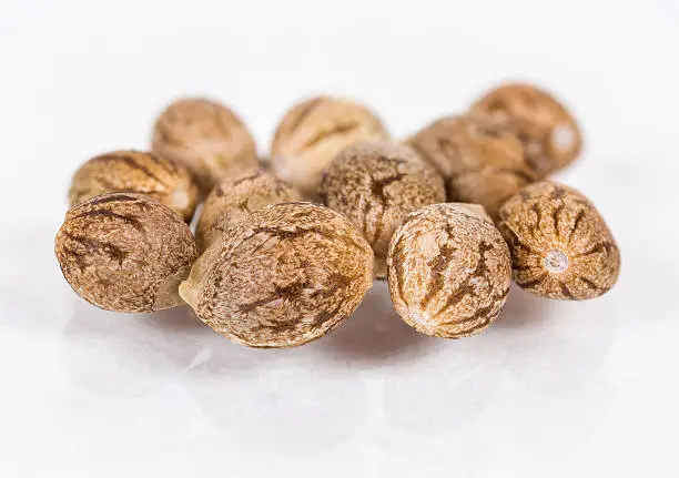 A group of cannabis seeds against a white background. These seeds have tiger stripes.