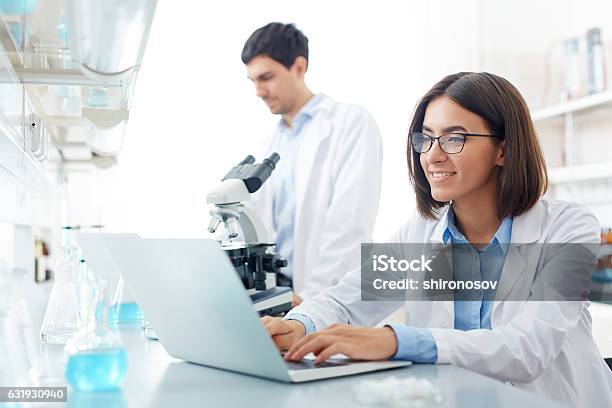 Searching For Data Stock Photo - Download Image Now - Laboratory, Scientist, Research