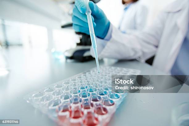 Scientific Analysis Stock Photo - Download Image Now - Biotechnology, Adult, Analyzing