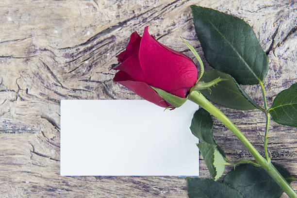 istock Blank space for love message Valentine's day with red rose 632438562