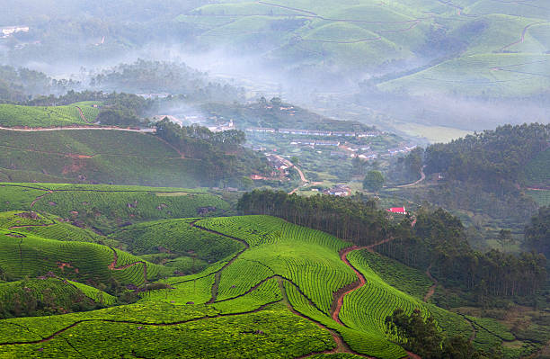 istock Tea plantations in Munnar, Kerala, South India 632441774
