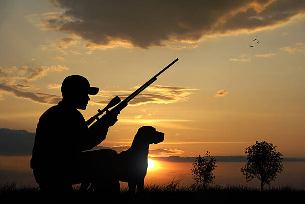 Hunter Hunter with his dog silhouettes on sunset background hunting stock pictures, royalty-free photos & images