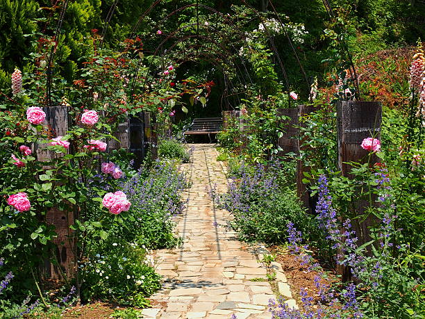 istock Narrow path of a rose and the herb 632444048