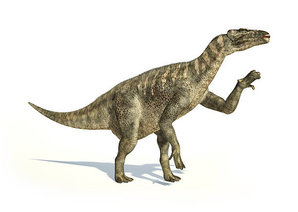 istock Iguanodon Dinosaur photorealistic representation, in dynamic pos 633686434