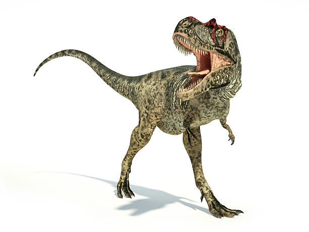 istock Albertosaurus Dinosaur, photorealistic representation, dynamic p 633686734