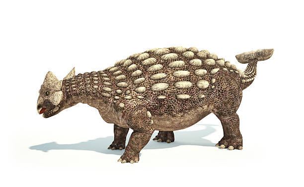 istock Ankylosaurus Dinosaur photorealistic representation. Dynamic pos 633687042