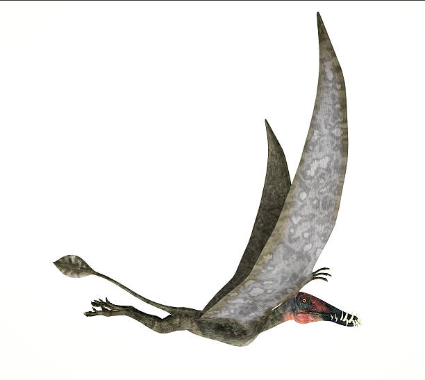 istock Dorygnathus flying Dinosaur photorealistic representation 633687090