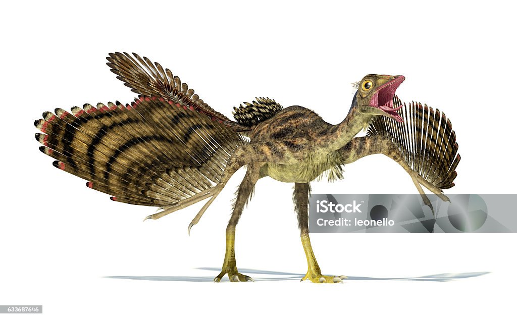 Fotorealistische Darstellung eines Archaeopteryx-Dinosauriers. - Lizenzfrei Archaeopteryx Stock-Foto