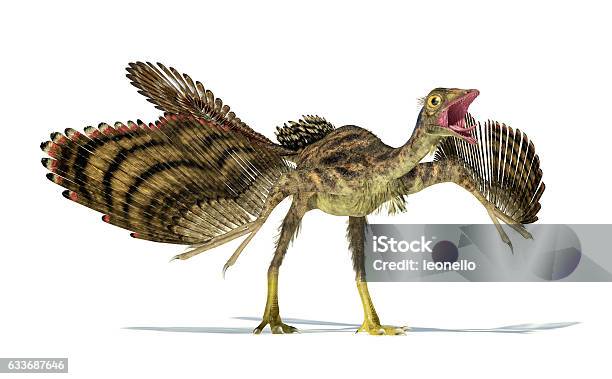 Fotorealistische Darstellung Eines Archaeopteryxdinosauriers Stockfoto und mehr Bilder von Archaeopteryx