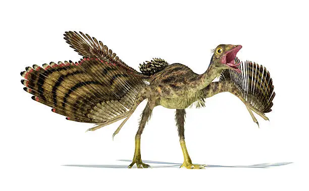 Photo of Photorealistic representation of an Archaeopteryx dinosaur.