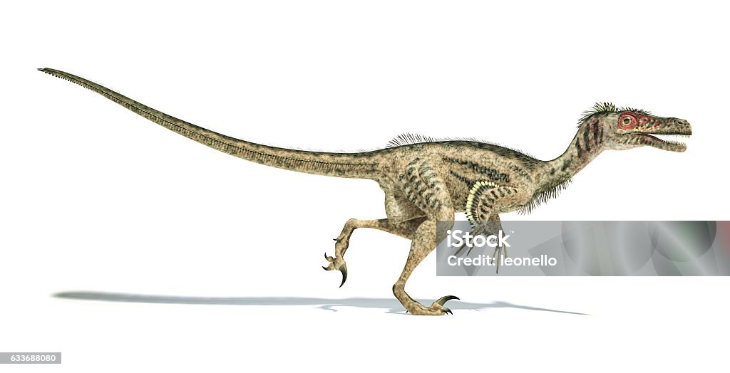 벨로시랩터 공룡 과학적으로 올바른 깃털 벨로키랍토르에 대한 스톡 사진 및 기타 이미지 - 벨로키랍토르, 가득 찬, 갈고리 발톱 -  Istock
