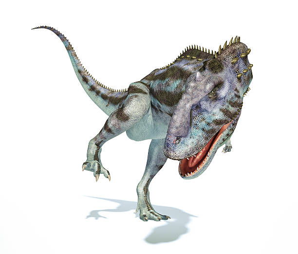 Majungasaurus dinosaur, photorealistic representation. Dynamic v Majungasaurus dinosaur, full body photorealistic representation, scientifically correct. Dynamic view, On white background and drop shadow. Clipping path included. coelurosauria stock pictures, royalty-free photos & images