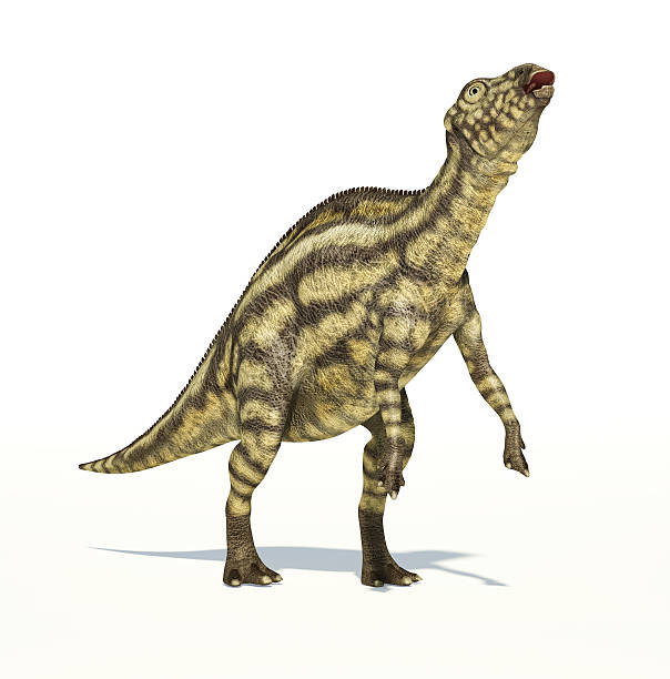 istock Maiasaura dinosaur, young child, photorealistic representation. 633689360