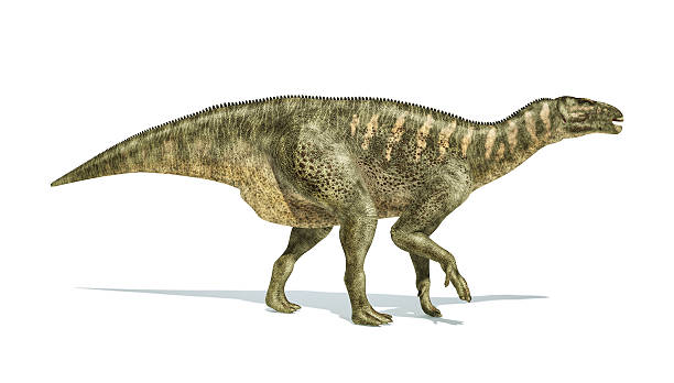 istock Iguanodon Dinosaur photorealistic representation, side view. 633689406
