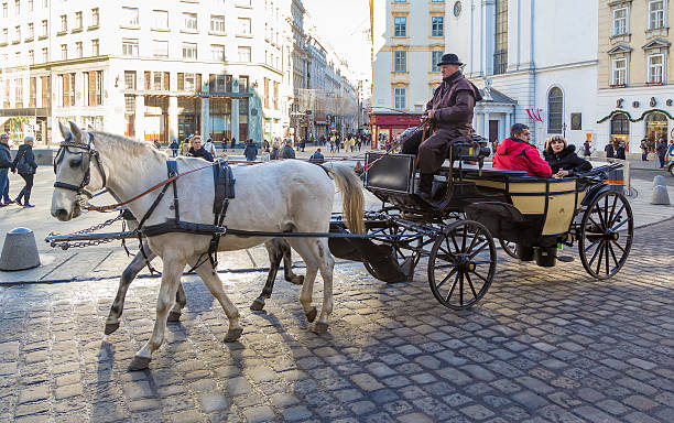 Vienna, Austria - January 6, 2014: Riding carriage horses on Vienna streets