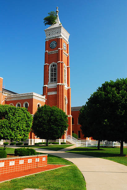 istock Decatur County Courthouse and Famous Tree 633690624