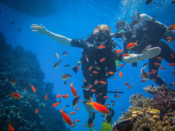 istock Team of divers in the coral reefs 633691078