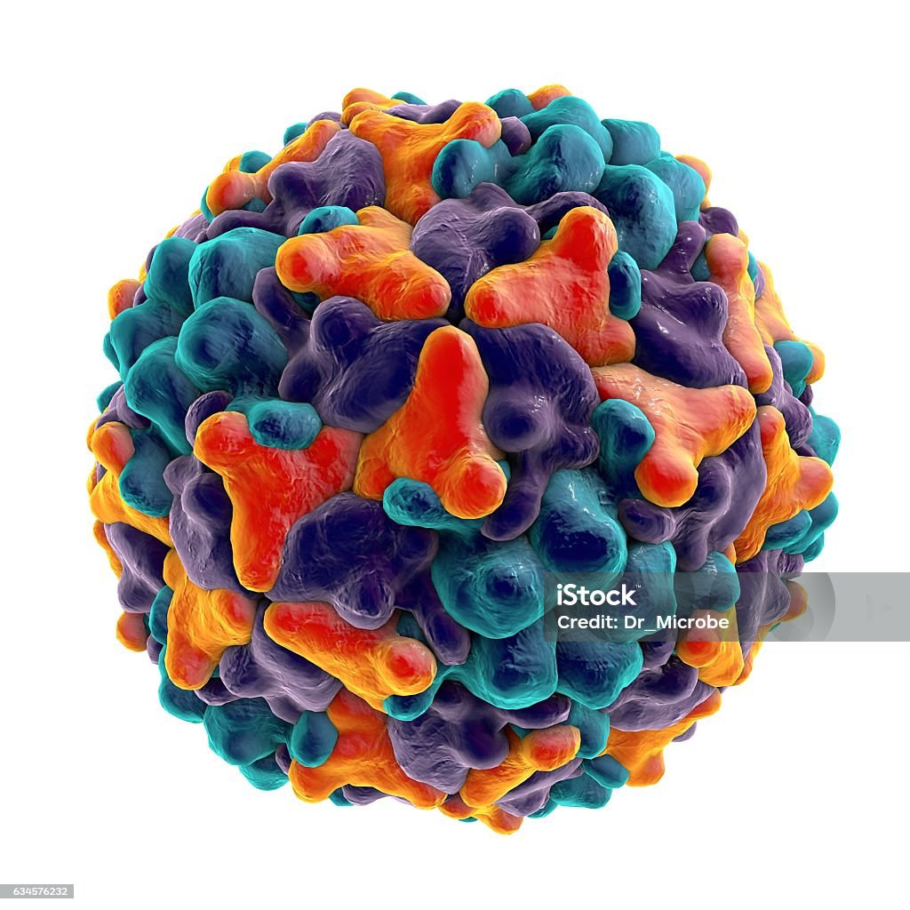Coxsackievirus, a virus which causes respiratory, enteric and brain infections Enteroviruses. Coxsackievirus isolated on white background, a virus which causes respiratory, enteric and brain infections, 3D illustration Bacterium Stock Photo