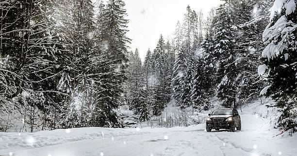 voiture hors route dans la forêt d’hiver - global communications directional sign road sign travel photos et images de collection