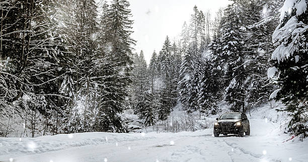 carro off road na floresta de inverno - vibrant color forest ice snow - fotografias e filmes do acervo