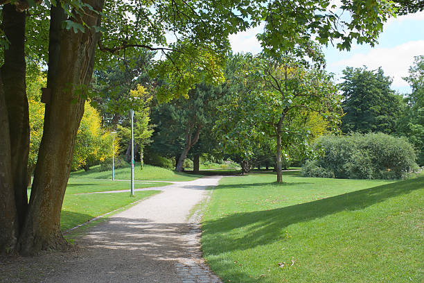istock Green park with lawn and trees in a city 634576834
