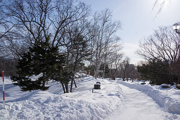 Winter scenery in Sapporo city.