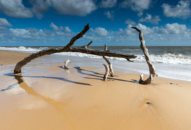 Magaruque Island, formerly Ilha Santa Isabel, is part of the Bazaruto Archipelago, off the coast of Mozambique.