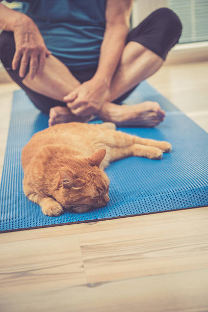 istock Senior Man exercising at Home with his Ginger Cat 635673242