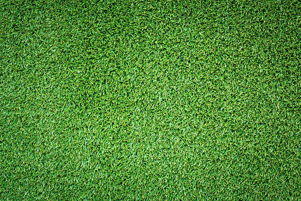 istock Green Fake grass background 635673550