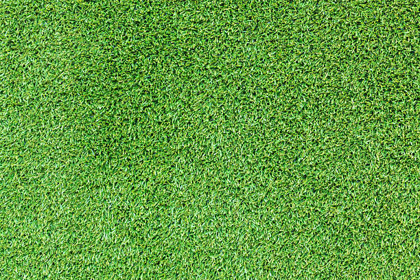 istock Green Fake grass background 635673866