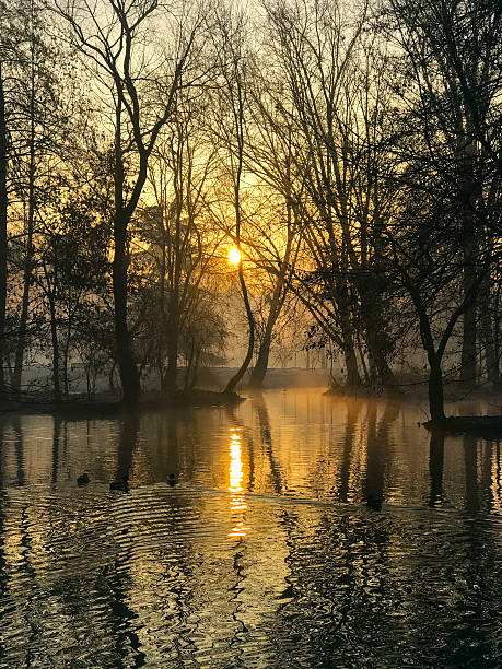 istock Autumn morning in a park 635674100