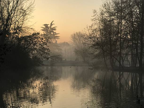 istock Autumn morning in a park 635675786