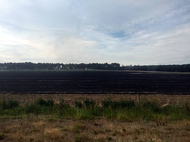Stubble burning in Australia On the Overland, looking out of the window, Australia horizon over land stock pictures, royalty-free photos & images