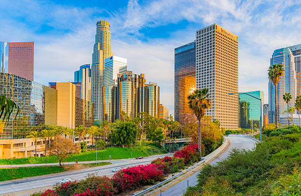 Skyscrapers of Los Angeles skyline with freeway,CA(P) Spring foliage fills the foreground leading back to the skycrapers of Los Angeles skyline with wispy clouds above, California california fuchsia stock pictures, royalty-free photos & images