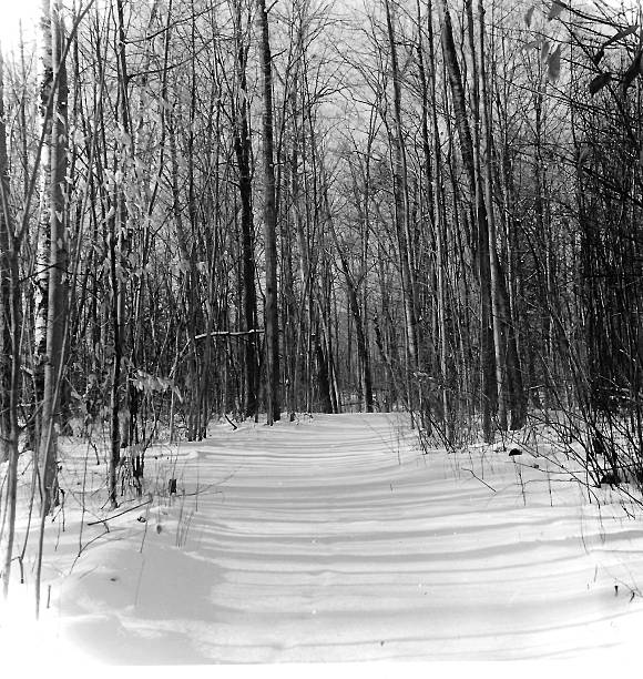 sentiero invernale - guyver foto e immagini stock