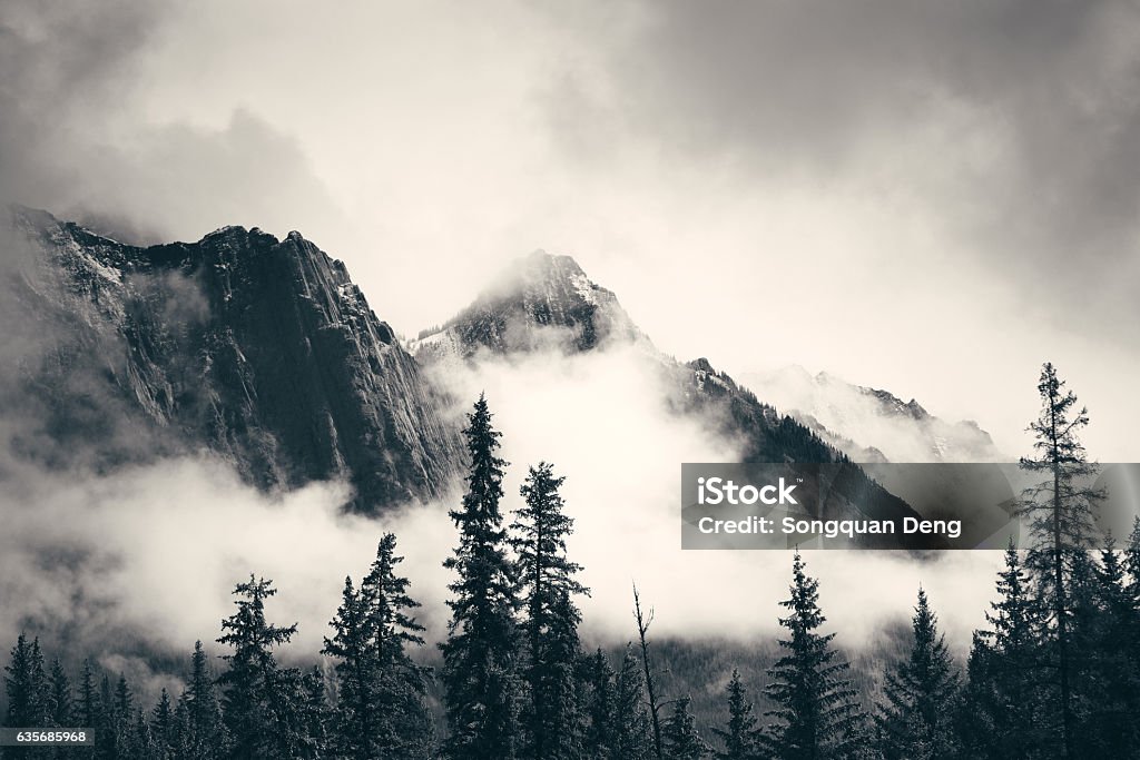 Banff National Park Misty mountain in Banff National Park Black And White Stock Photo