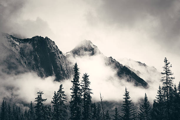 Banff National Park Misty mountain in Banff National Park mountain range photos stock pictures, royalty-free photos & images