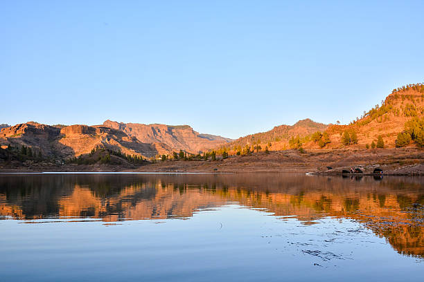 istock Landscape in Tropical Volcanic Canary Islands Spain 635697132