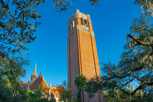 Tower and historic buildings at the University of Florida.