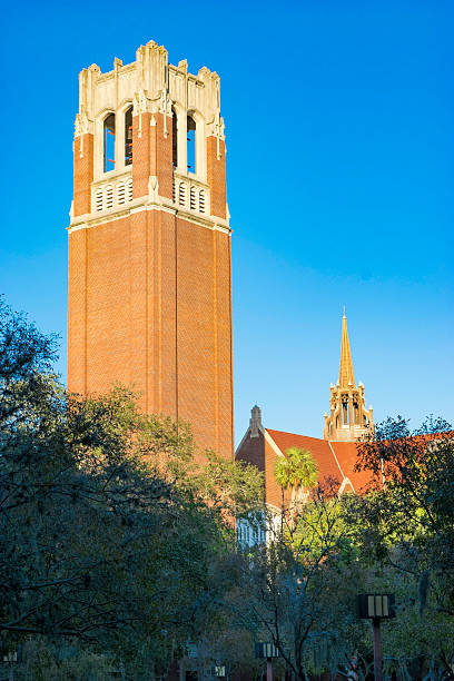 bell tower - university of florida - university of florida imagens e fotografias de stock